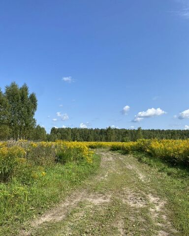 р-н Сокольский д Макарово Бор фото