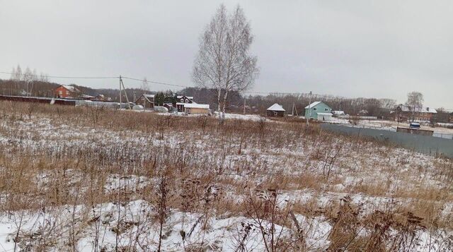 Коломна городской округ, с. Никульское фото