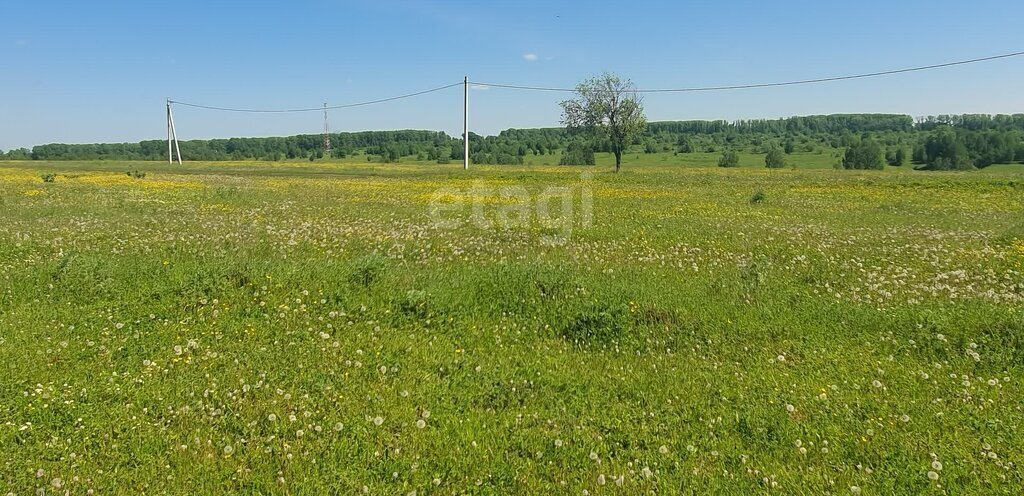 земля г Кемерово ул Святой Источник фото 1