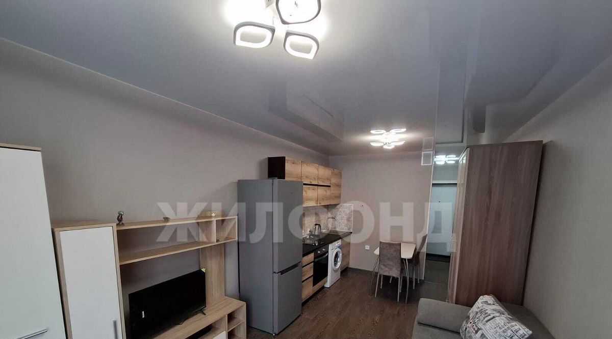 квартира г Новосибирск ул Забалуева 90 Площадь Маркса фото 10
