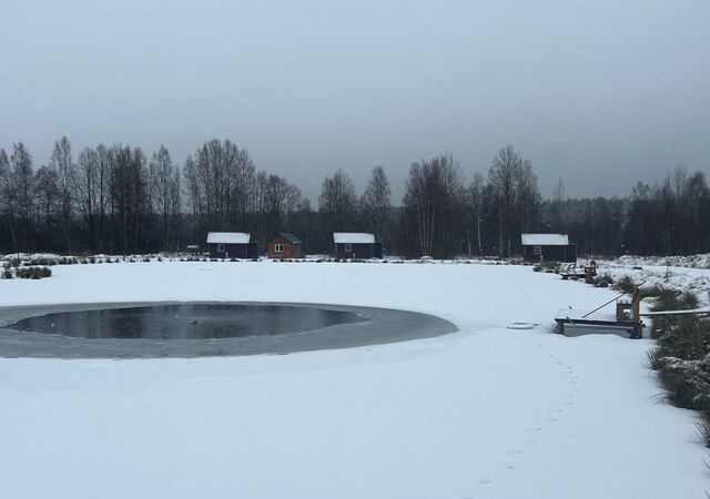 дом Трасса Скандинавия, 81 км, Советское городское поселение, городской пос. Советский фото