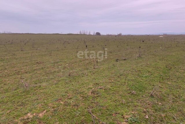 р-н Тарумовский Р-215, участок граница Республики Дагестан - Махачкала, 216-й километр фото