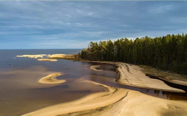 Куркиёкское сельское поселение, Ленинградская область, Кузнечное фото