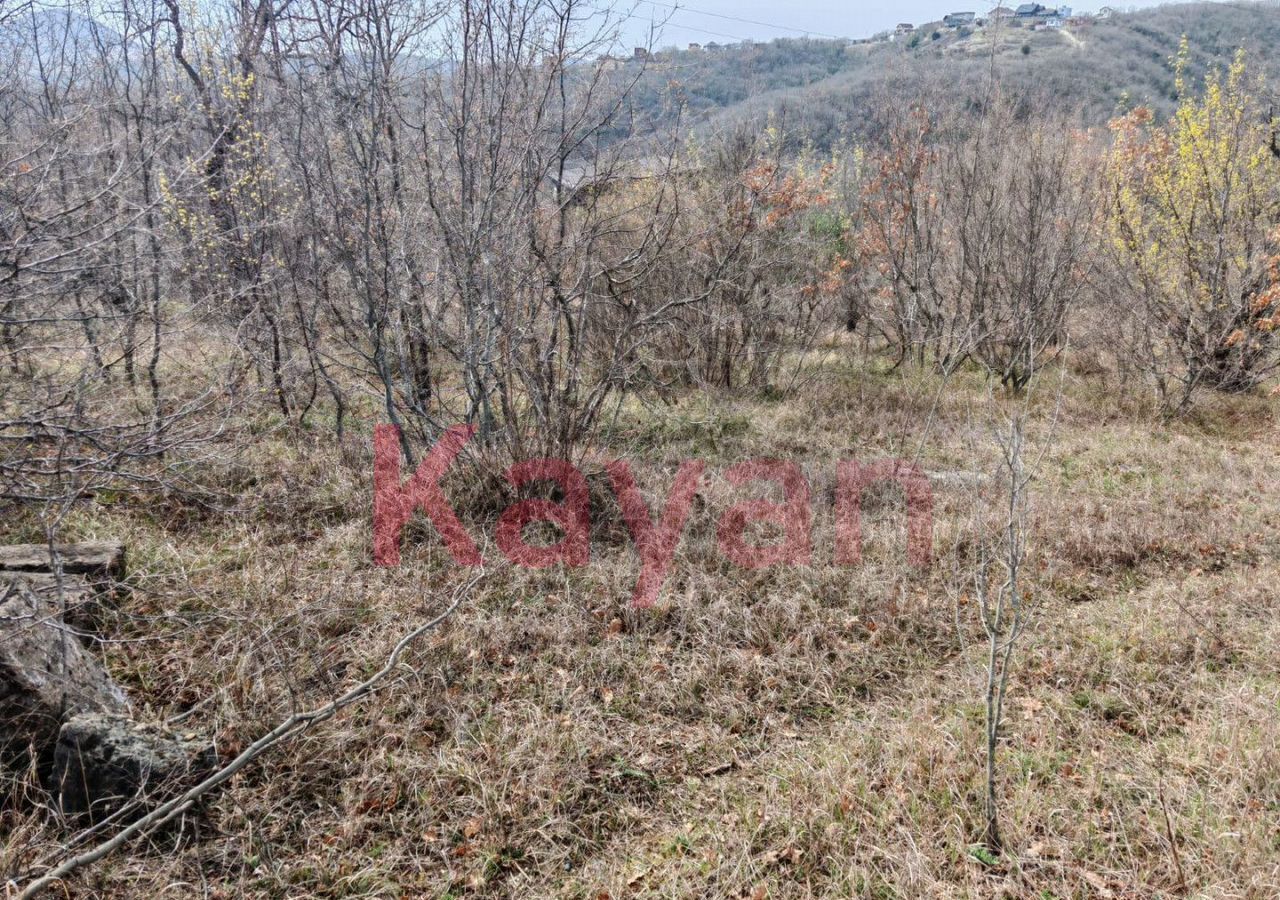 земля г Новороссийск р-н Приморский снт Рыбак ул Змейка 41 фото 2