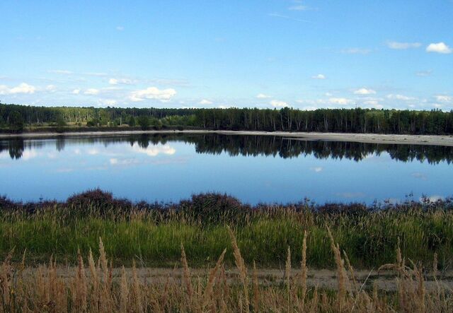 ул Речная 76 км, Ступино, Новокаширское шоссе фото