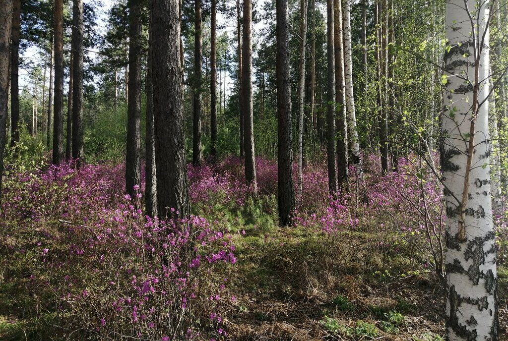 дом г Усолье-Сибирское фото 18