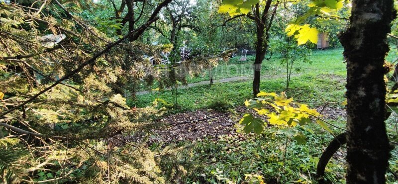 земля городской округ Истра г Дедовск снт Садовод-1 Нахабино фото 7