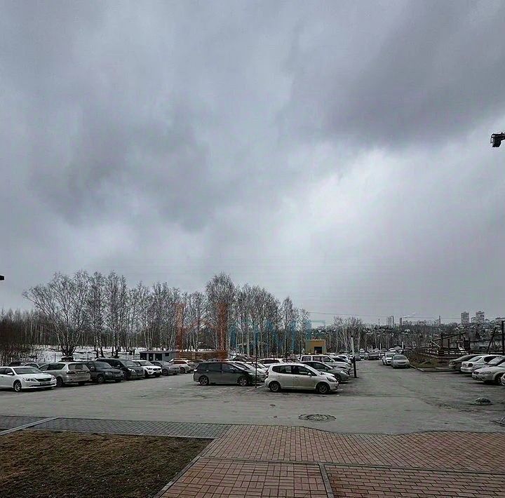 квартира г Новосибирск Речной вокзал ул Выборная 133/1 фото 9