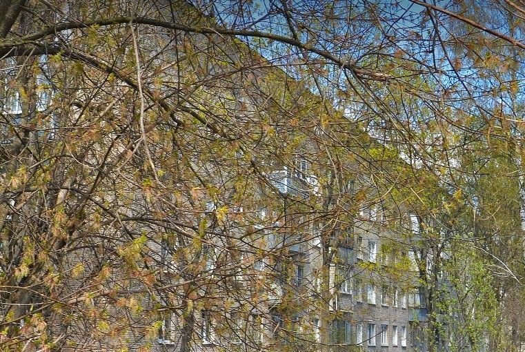 квартира городской округ Богородский г Электроугли мкр Вишняковские Дачи ул Длинная 23 Дачи фото 1