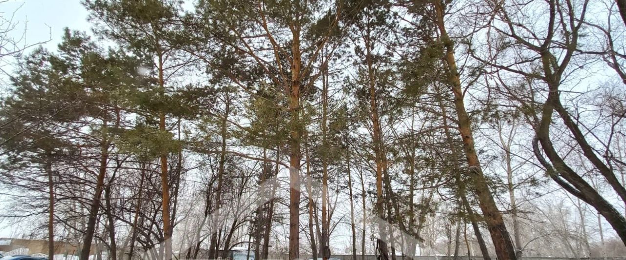 квартира г Омск р-н Кировский ул Мостоотряд 63а фото 9