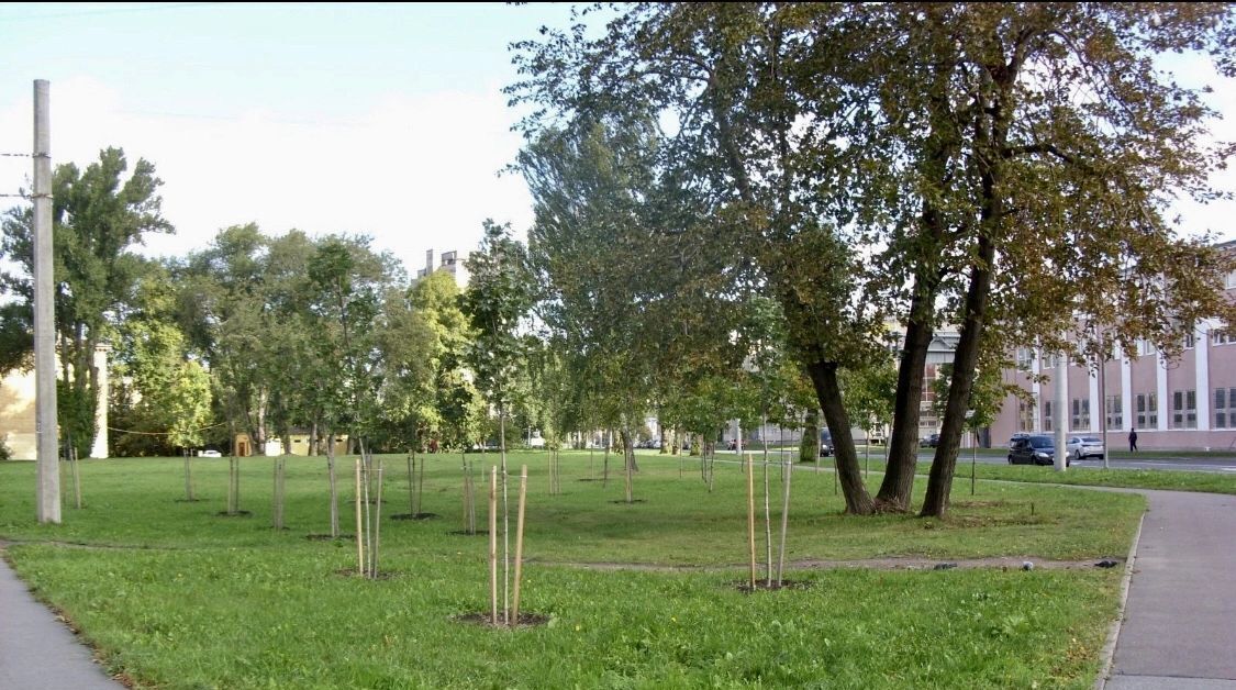 квартира г Санкт-Петербург метро Нарвская пер Майков 4а фото 12