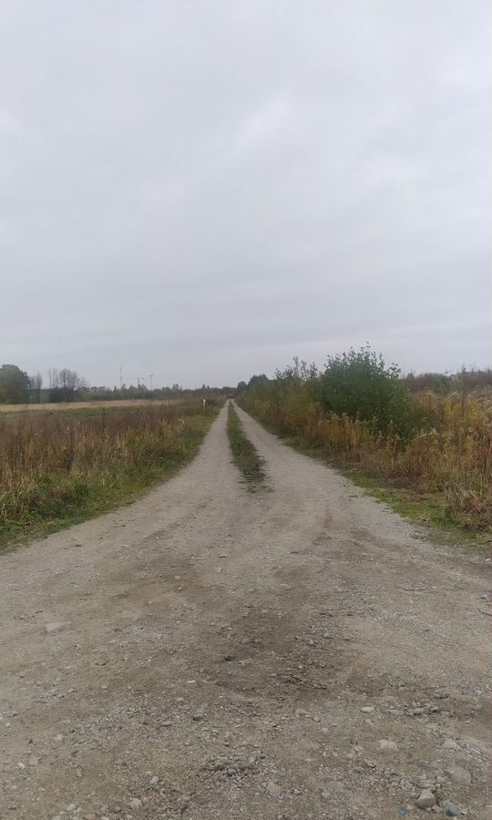 земля р-н Зеленоградский г Зеленоградск п Клинцовка фото 11