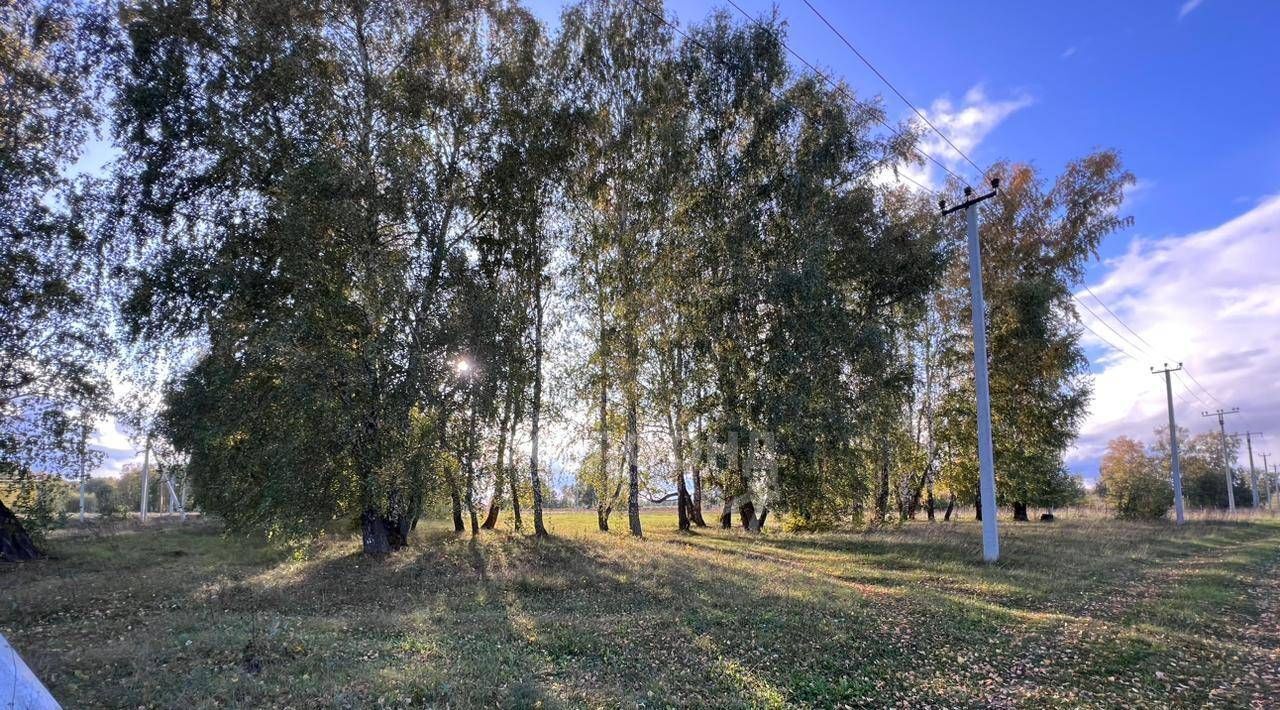 земля р-н Ордынский с Красный Яр ул Сибирская фото 4