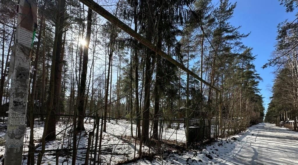 земля р-н Всеволожский г Всеволожск ул Гоголя Ладожская фото 24