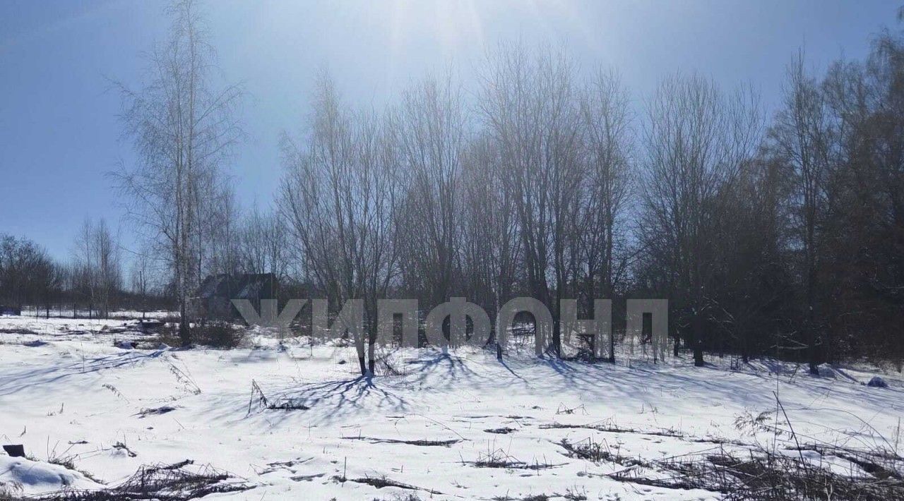 земля р-н Брянский п Путевка снт Русь пос, СДТ, Снежское с, с. Толмачево фото 3