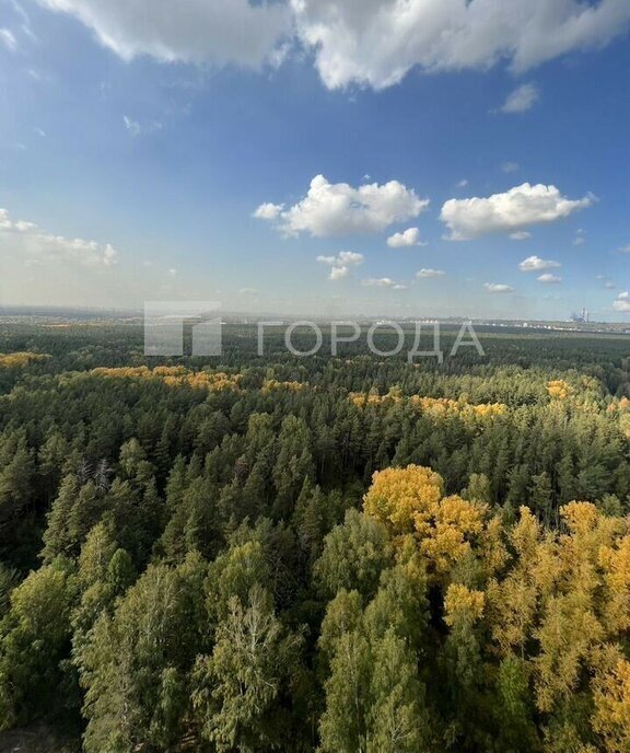 квартира г Новосибирск р-н Первомайский Речной вокзал ул Ошанина 5 фото 8