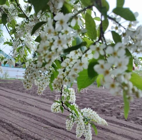 снт Тепличный-1 Иртышское с/пос, 232 фото снт Тепличный-1 Иртышское с/пос, 232 фото