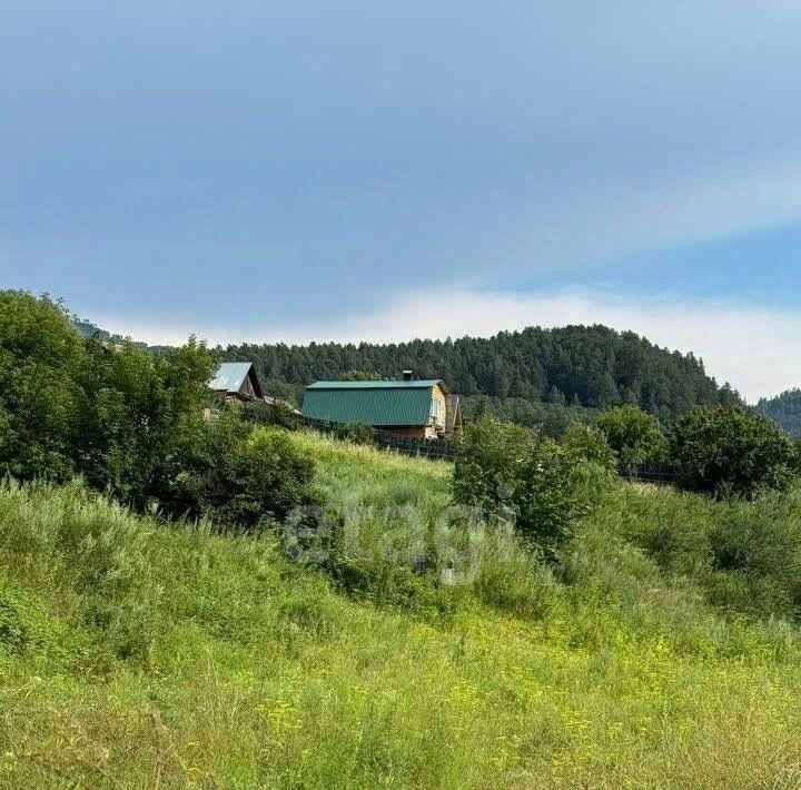 земля р-н Чемальский с Чемал ул Катунская 42 фото 3