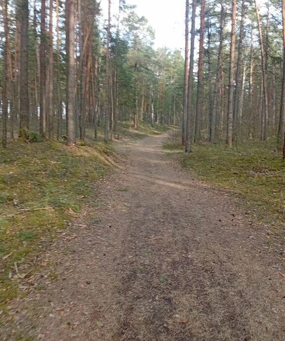 офис р-н Калининский д Красново фото 5