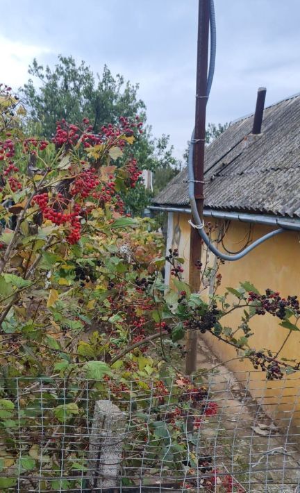 дом г Керчь снт Войковец пр-д Ежевичный фото 3