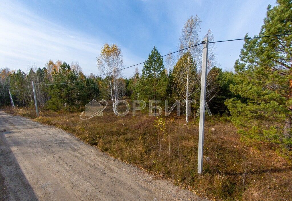 земля г Тюмень р-н Ленинский тракт Велижанский 7й километр фото 3