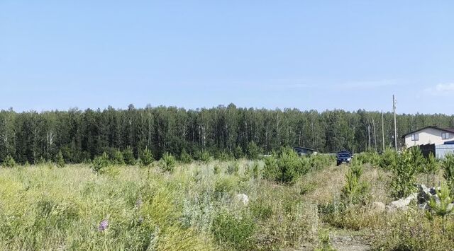 р-н Белоярский д Гусева ул Брусничная фото