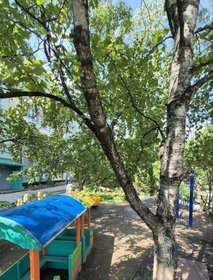 квартира г Благовещенск ул Свободная 32 фото 6