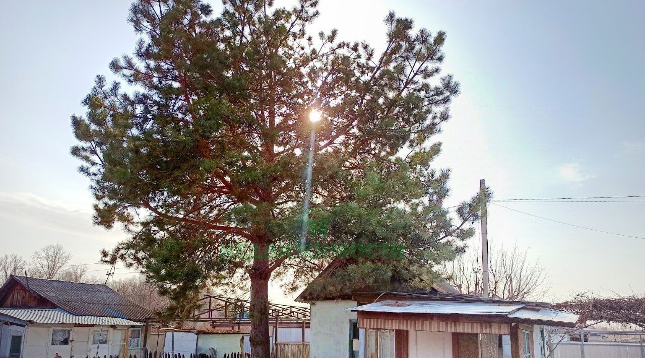 дом г Балаково Дзержинец СТ, проезд 8-й фото 2