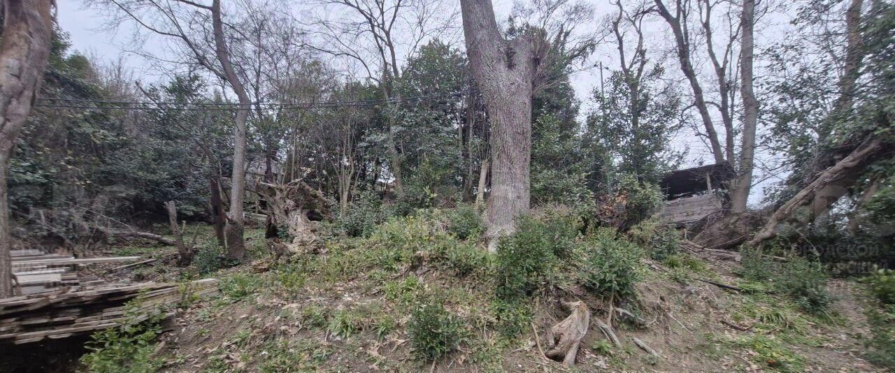 земля г Сочи р-н Центральный ул Восточная фото 5