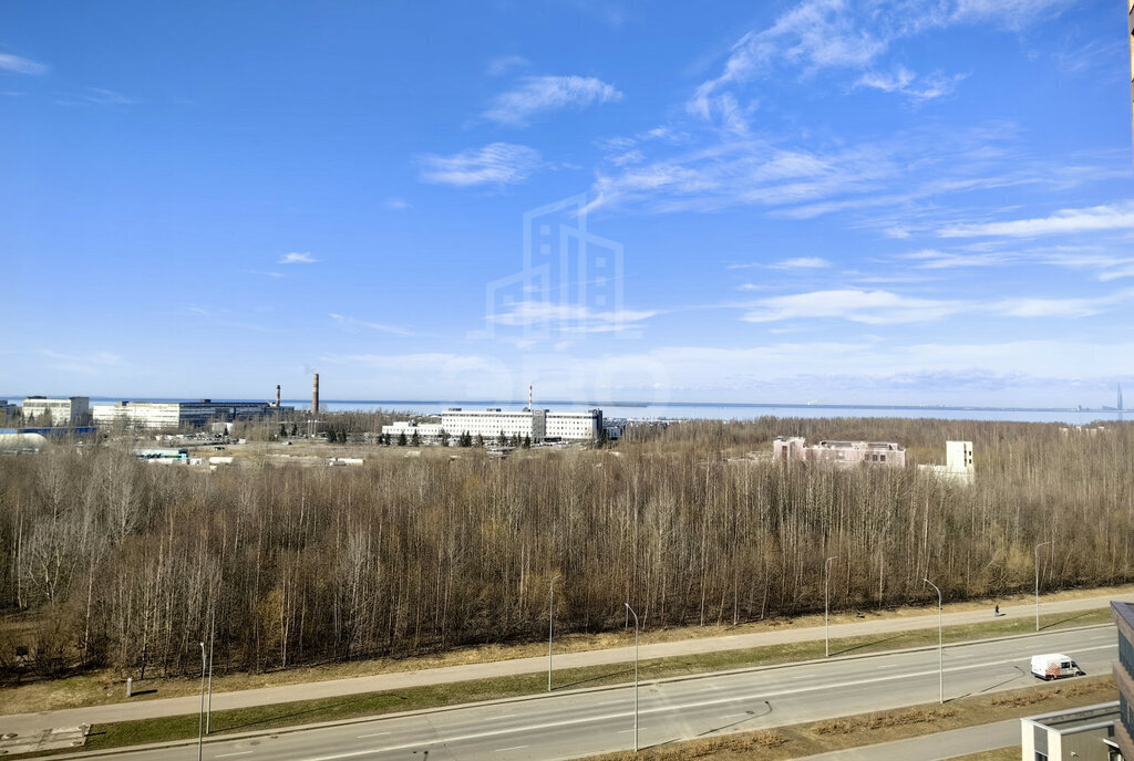 квартира г Санкт-Петербург метро Автово ул Адмирала Черокова 22 фото 25