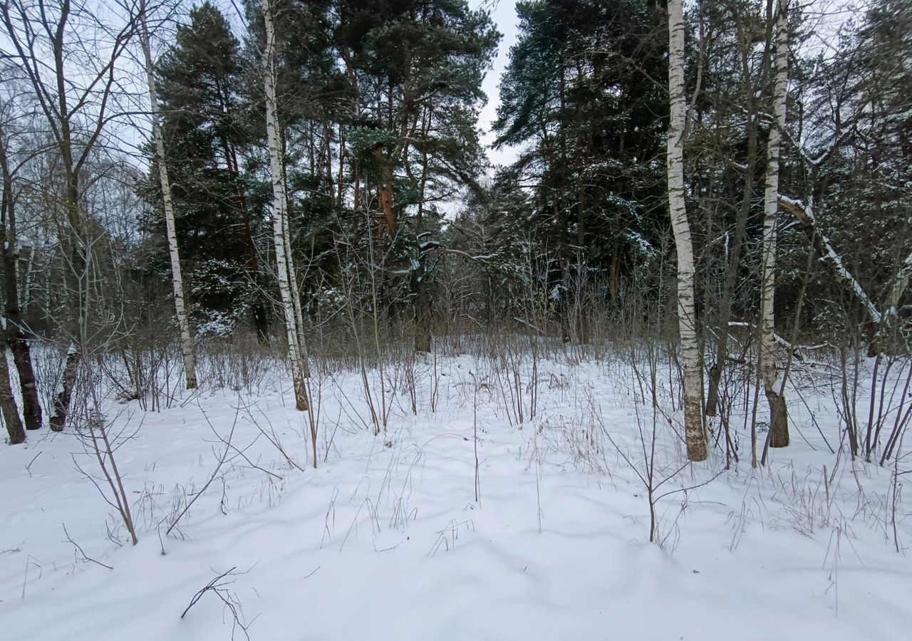 земля городской округ Богородский г Старая Купавна ул Радищева 23 км, Горьковское шоссе фото 3