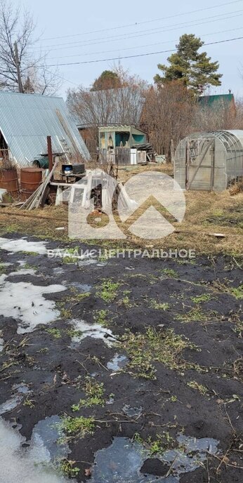 земля г Новосибирск Студенческая снт Родина фото 1