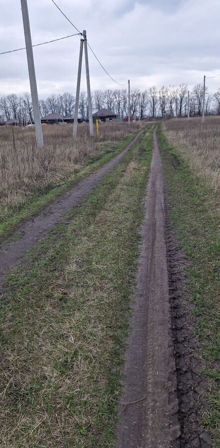 земля г Липецк ул Мирная Плехановский сельсовет, коттеджный пос. Ново-Заречное, Грязинский р-н фото 4