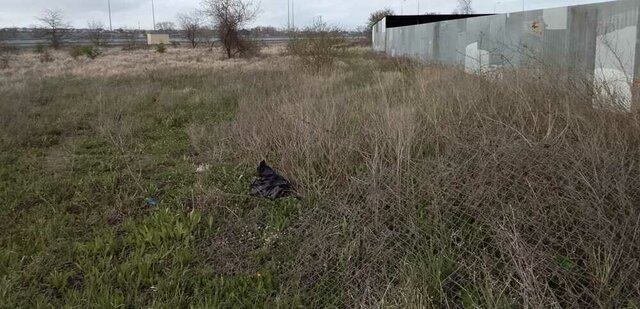 муниципальный округ Анапа фото
