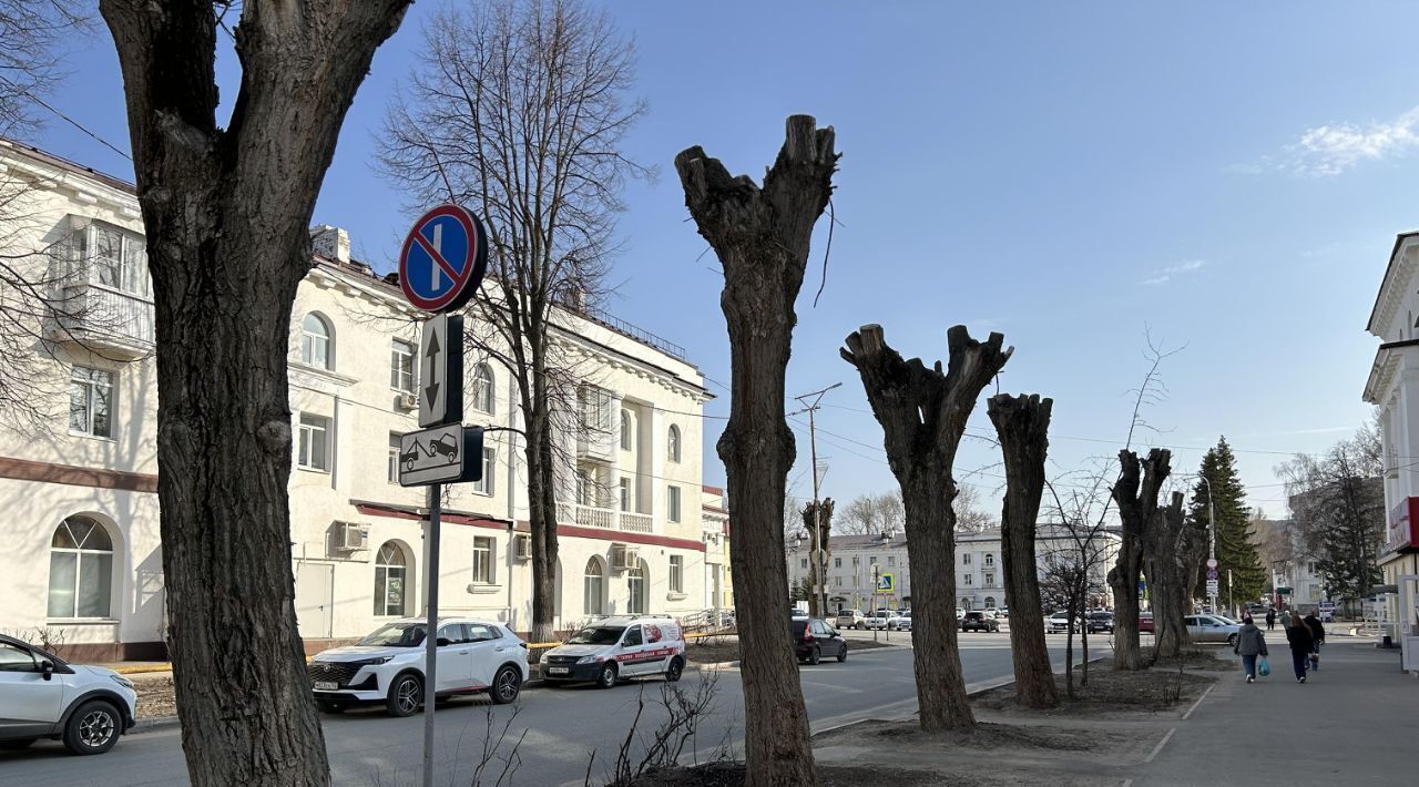 квартира г Жигулевск ул Пушкина 11 фото 30