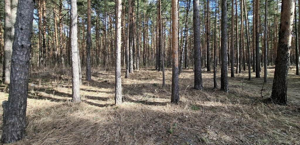 земля г Владимир п Заклязьменский ул Зелёная р-н Октябрьский фото 1