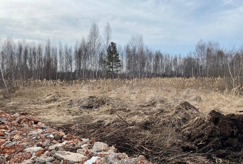 земля г Тюмень тракт Салаирский 14й километр, Тюменский р-н фото 2