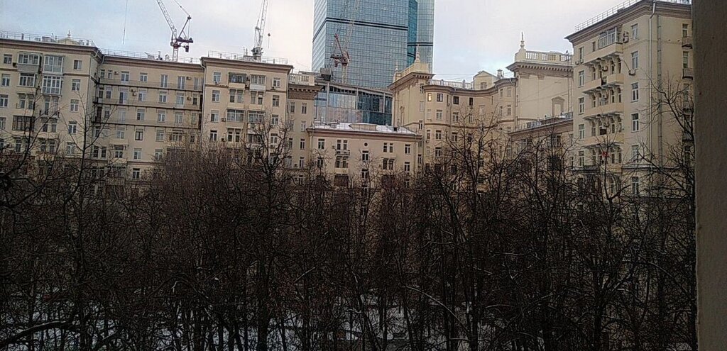 квартира г Москва метро Кутузовская пр-кт Кутузовский 30 фото 17