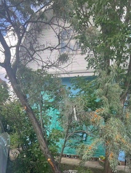 дом г Омск р-н Ленинский СОСН Сибирский садовод-3 тер., аллея 11-я, 313 фото 3