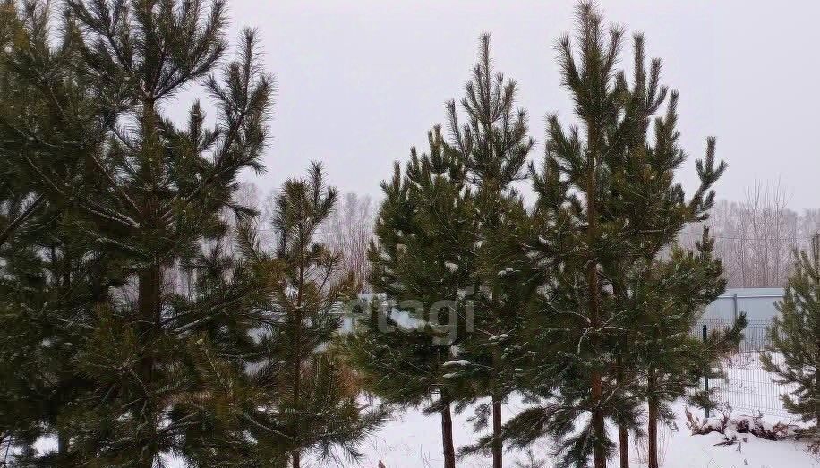 дом г Екатеринбург Ботаническая Гринтер кп фото 4
