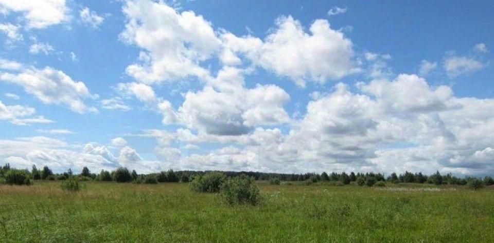 офис р-н Алейский п Солнечный Заветильичевский сельсовет фото 1