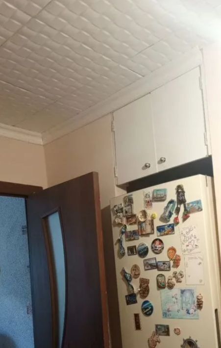 квартира г Воронеж р-н Ленинский ул Броневая 3а фото 6