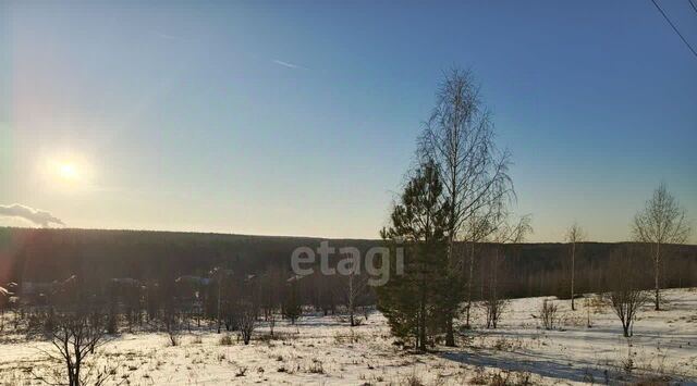 д Мошни фото