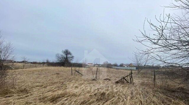 ул Школьная Рамонский район, Комсомольское с/пос фото