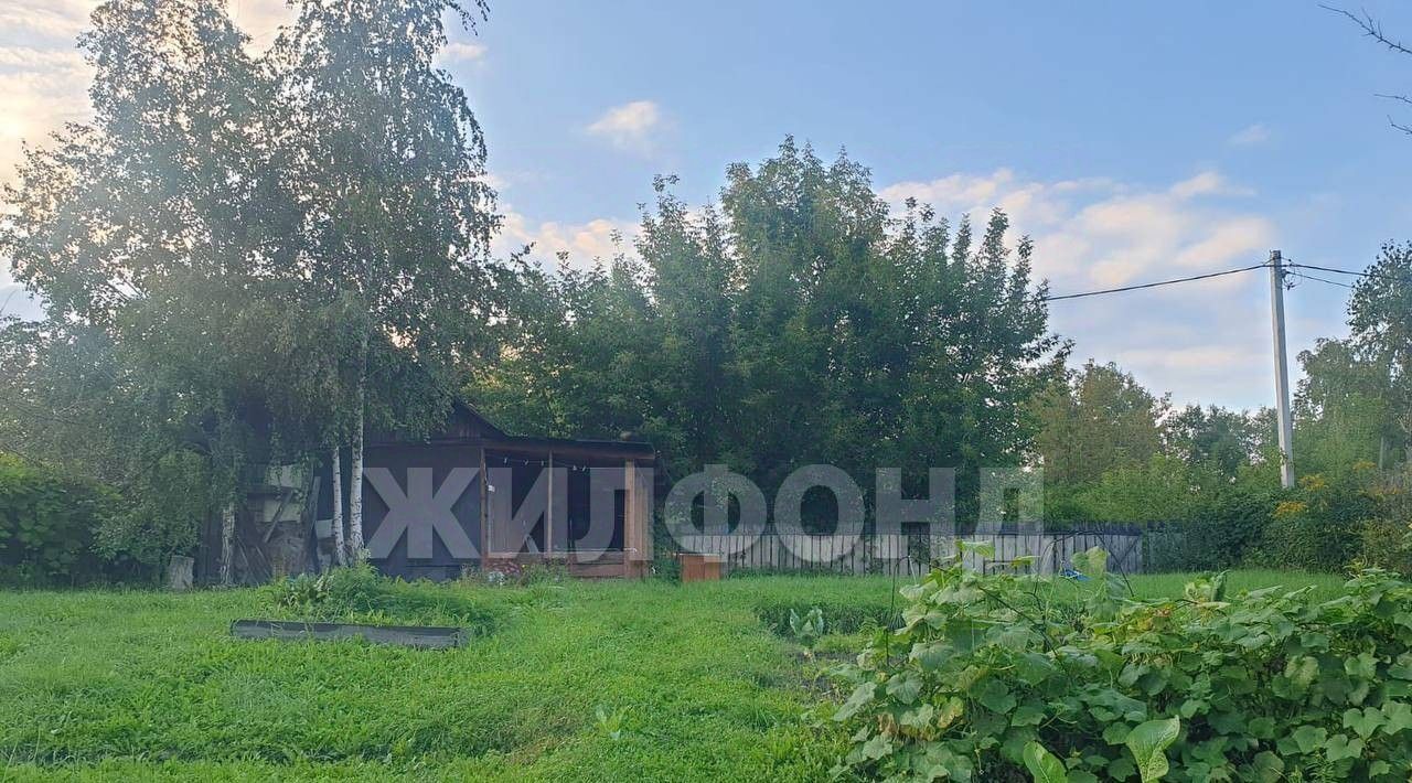 земля г Новосибирск Золотая Нива снт Комета-Березка фото 1
