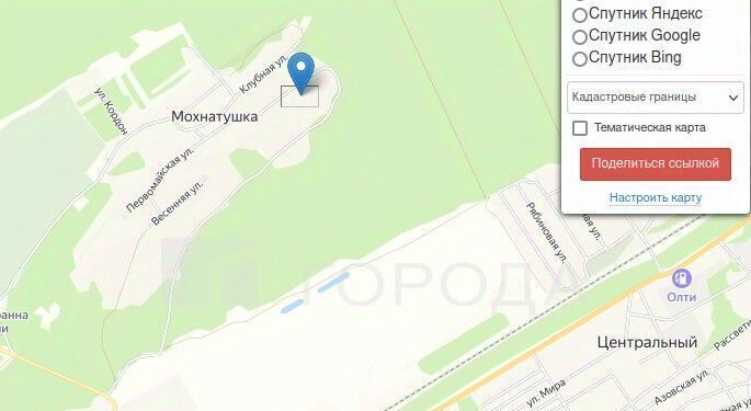 земля г Барнаул п Мохнатушка ул Первомайская фото 1