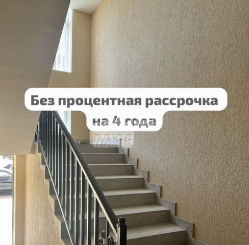 Дубки фото