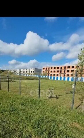 Зеленоградский муниципальный округ фото