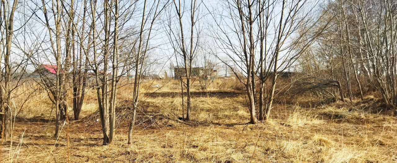 земля р-н Елизовский г Елизово ул Энергетиков Елизовское городское поселение фото 2