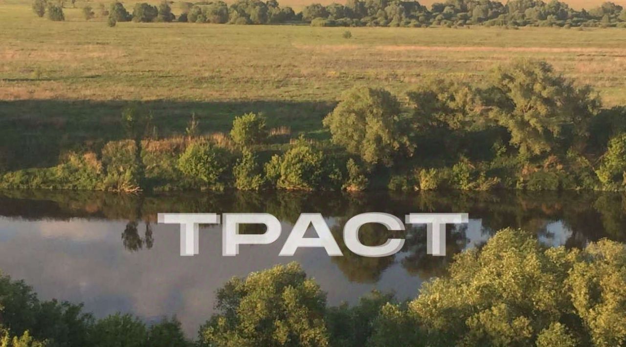 дом р-н Рамонский снт Родник Скляевское с/пос, СДТ фото 4